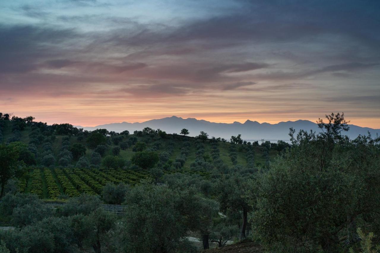 Tenuta Ciminata Greco Rossano