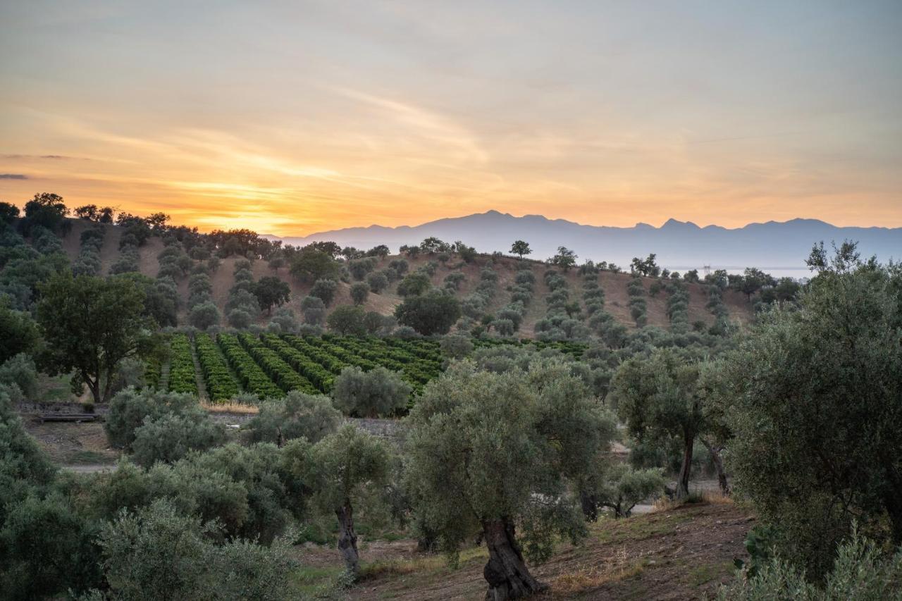 Tenuta Ciminata Greco Rossano